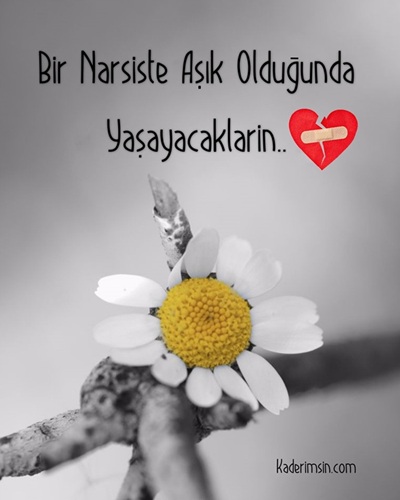 Gece lambası altında açık bir kitap ve sessiz oda